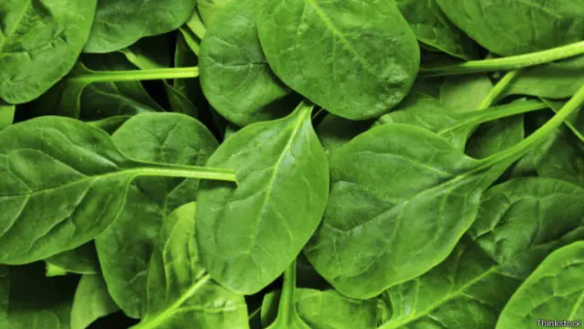 Espinaca